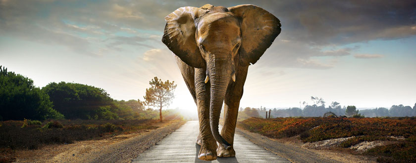 Digitale Bildbearbeitung